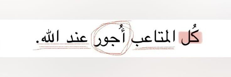 iqdjz's profile banner image