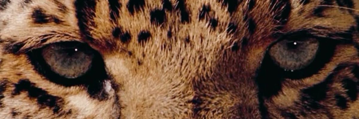 💛 banner