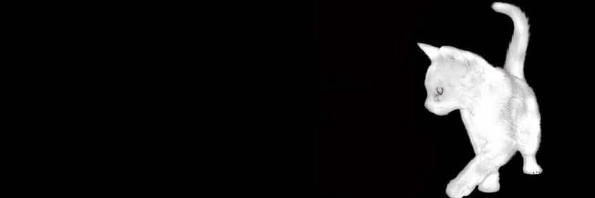 Twitter banner for @soyyumii