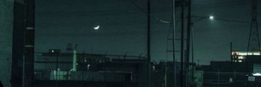 steve banner