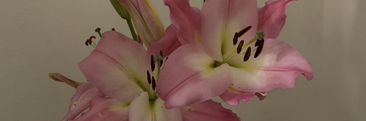 نُور | 👩🏻‍🎓 banner