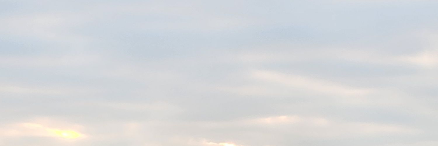 leafandwinds's profile banner image