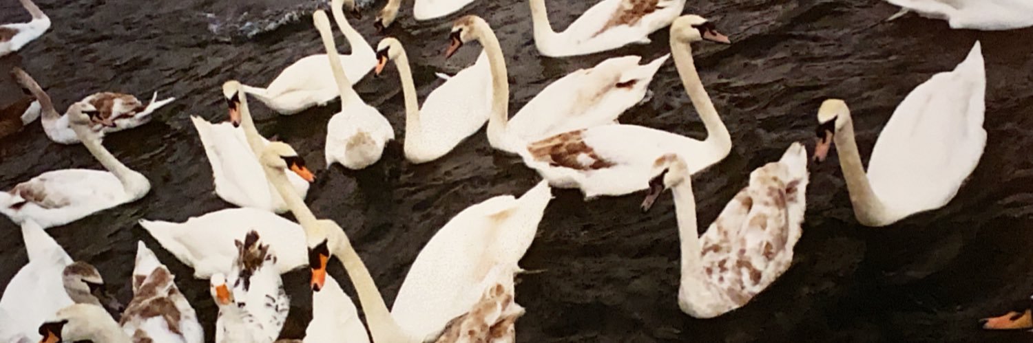 hey_ellis's profile banner image