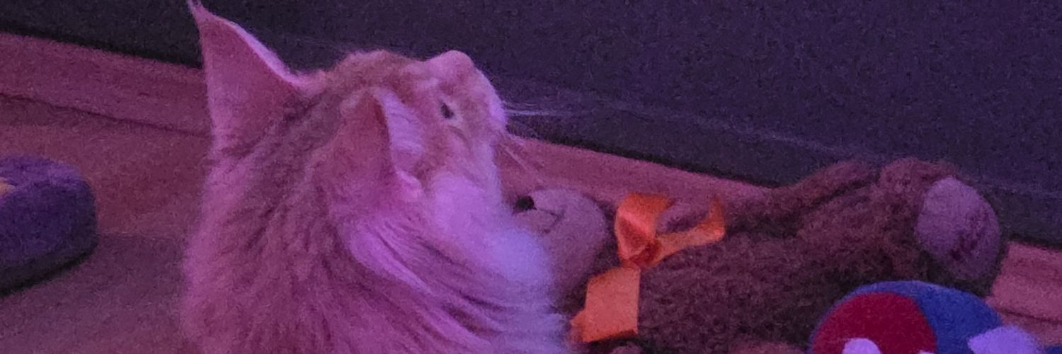 serhatbye's profile banner image