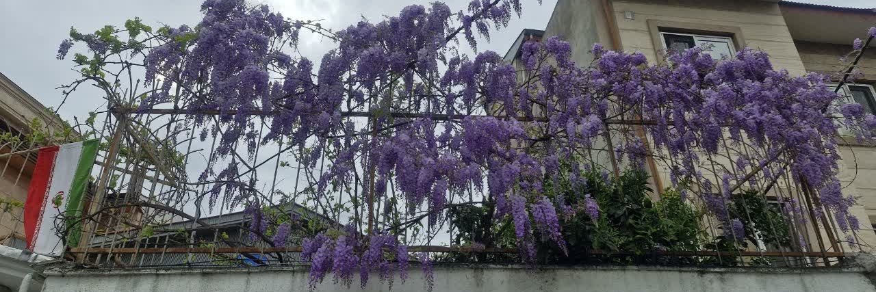 سامره (اکانت جدید) banner