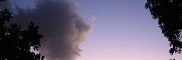 iEmmaFellows's profile banner image