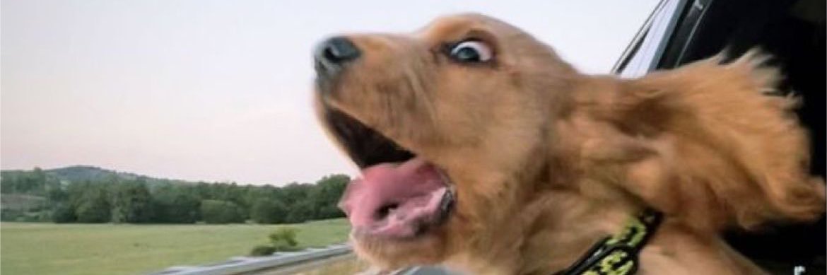 uanterel's profile banner image