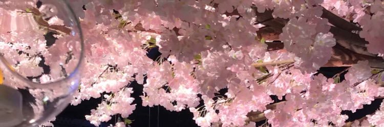 closdmind's profile banner image