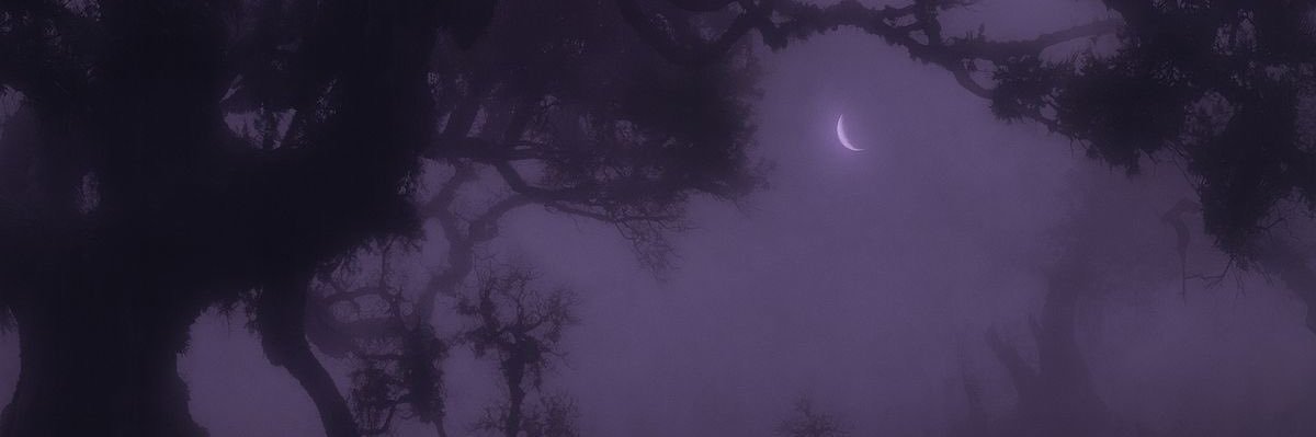 nasefumi's profile banner image