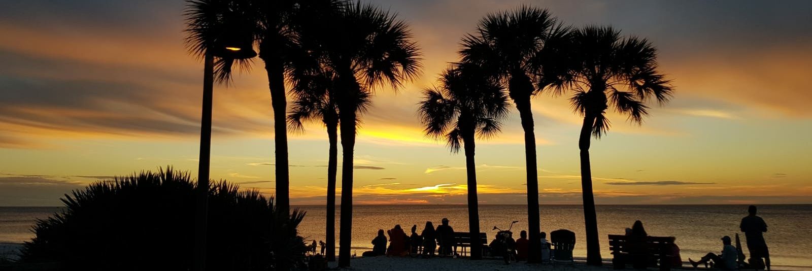 Tim Fargo 🇺🇲 🇺🇦 banner