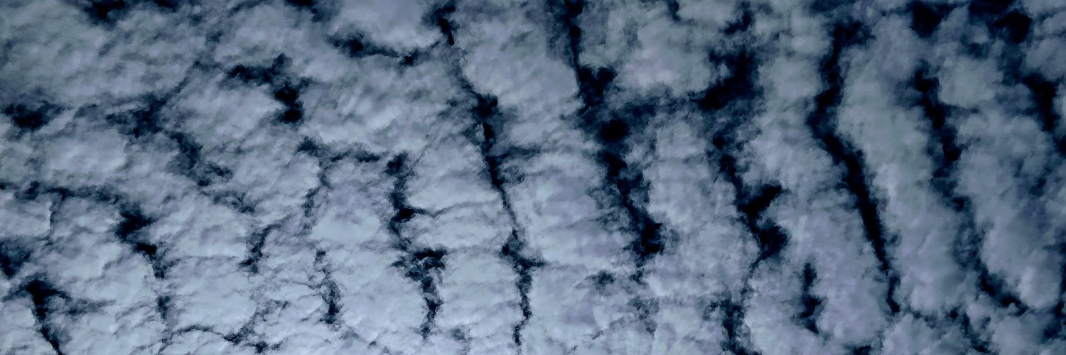blissyr's profile banner image