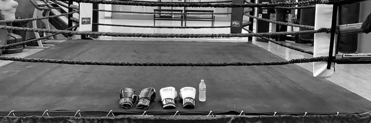 𝗥𝗼𝗻𝗻𝘆. banner