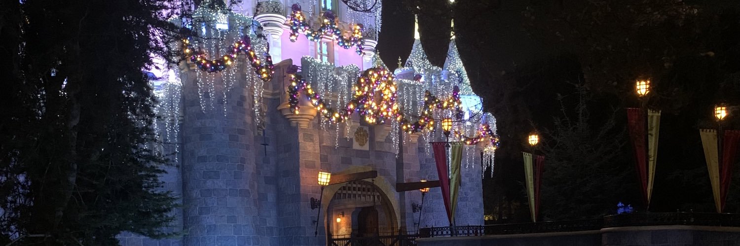 Paula Rose Young banner