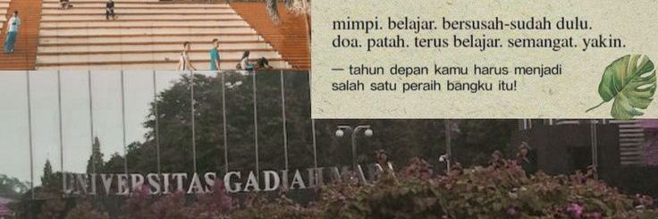 feylaa golden yearss²⁷ banner