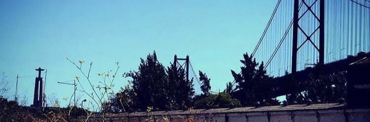 sofia vala rocha banner