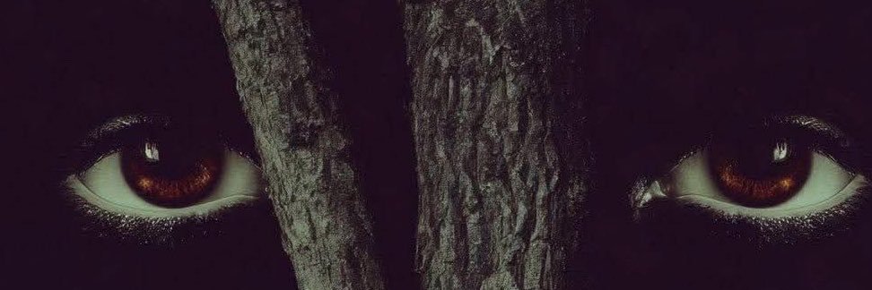 Belphoebegor's profile banner image