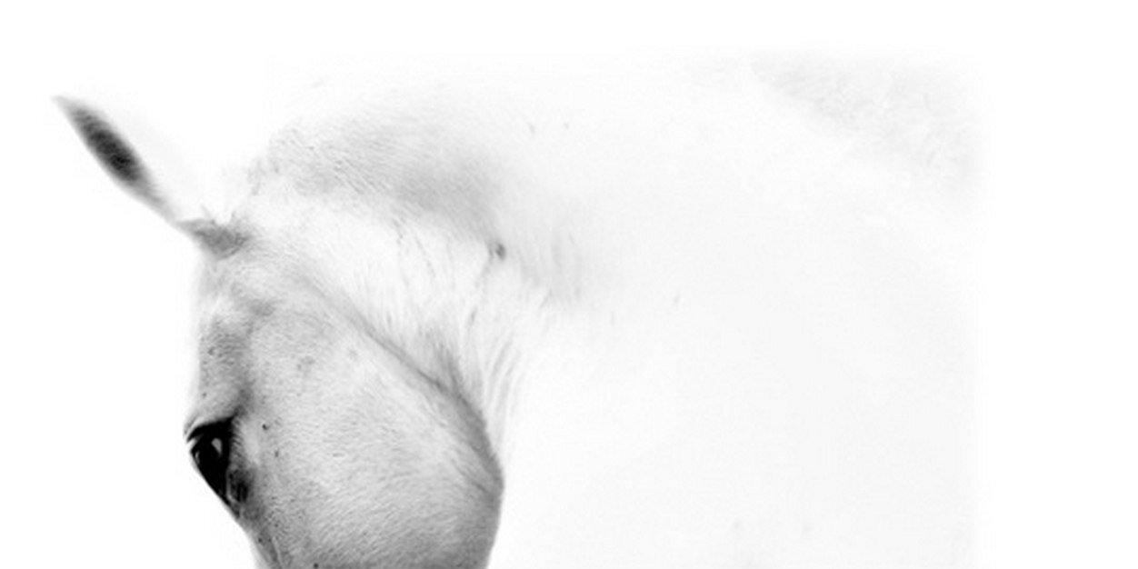 WVAG_'s profile banner image