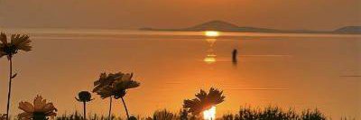 Iren_45672's profile banner image