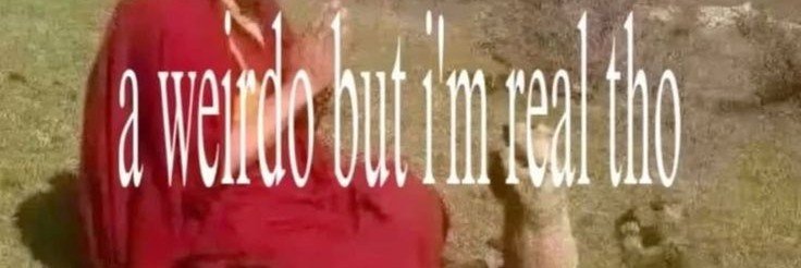 Louis, banner