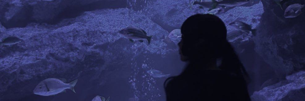 まなかちゃん banner