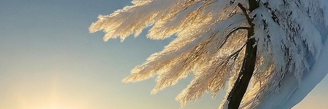Tina Kay Sommers Sullivan banner