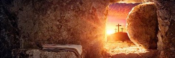 VERITYforall Profile Banner