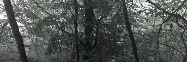 A banner