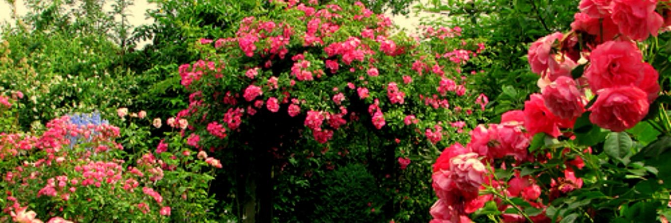 InnkPoo's profile banner image