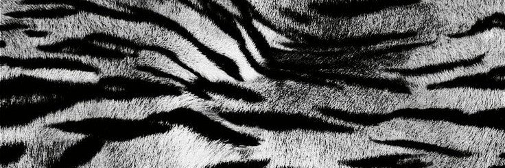 gcrdenofeden's profile banner image