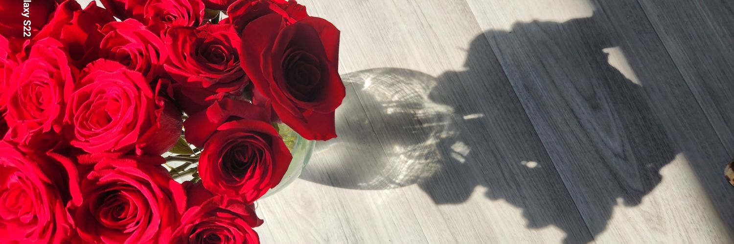 SerrotAgueda's profile banner image