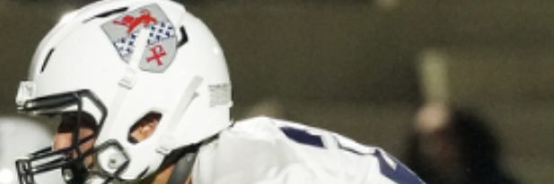 Baron Mazariegos banner
