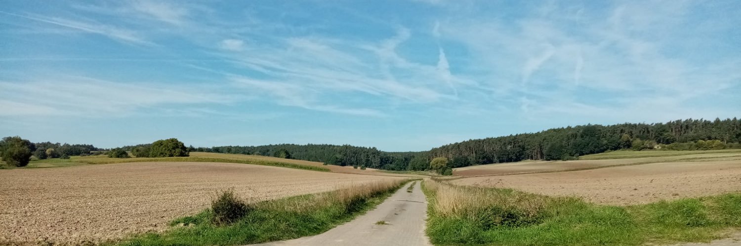 lucinallp's profile banner image