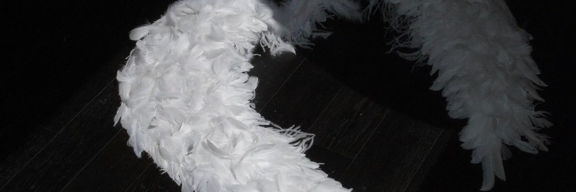 Jissiofl's profile banner image