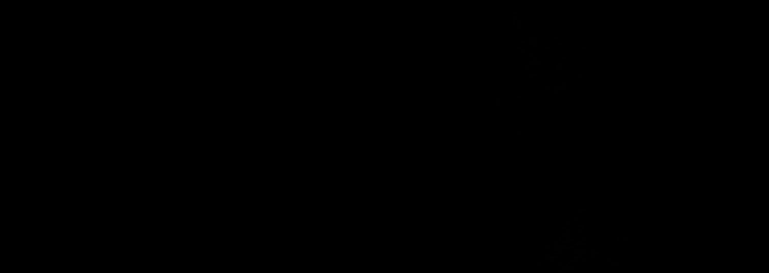 vdkayes's profile banner image