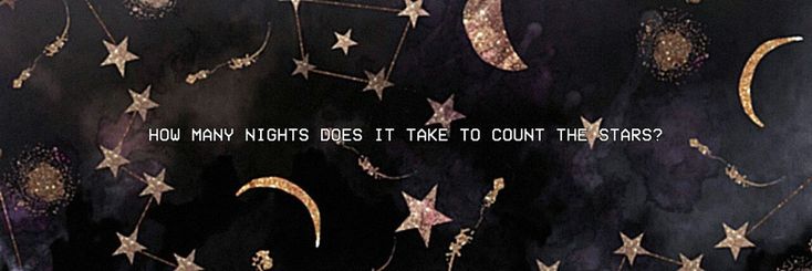 bibble ❄️ banner