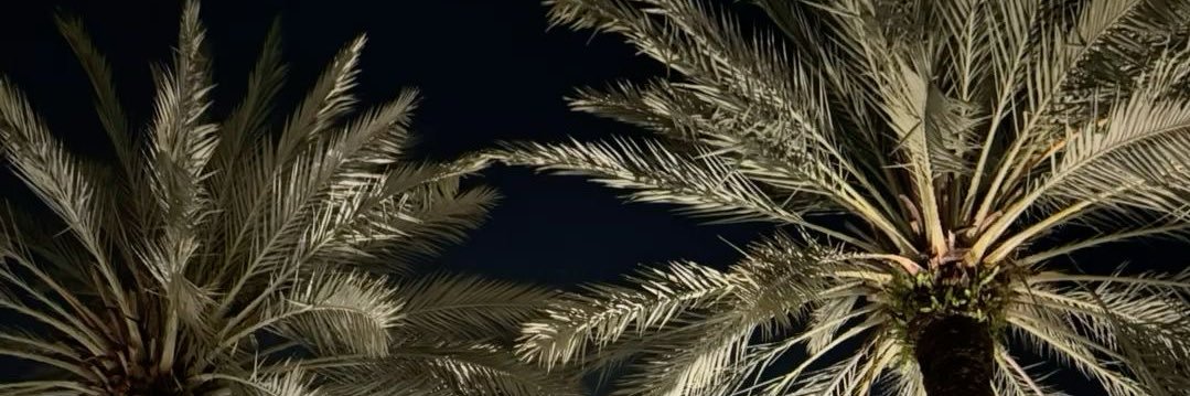 _3lllxc's profile banner image