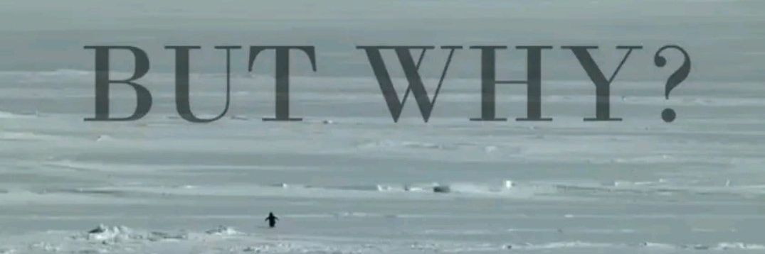 Theist Penguin banner