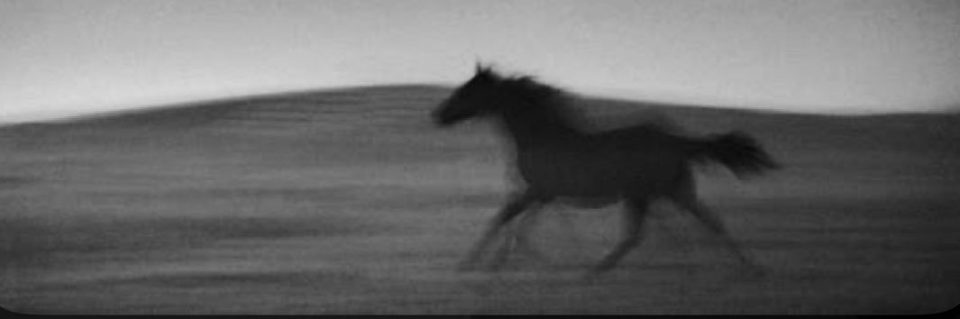 gyaha|يحيى banner