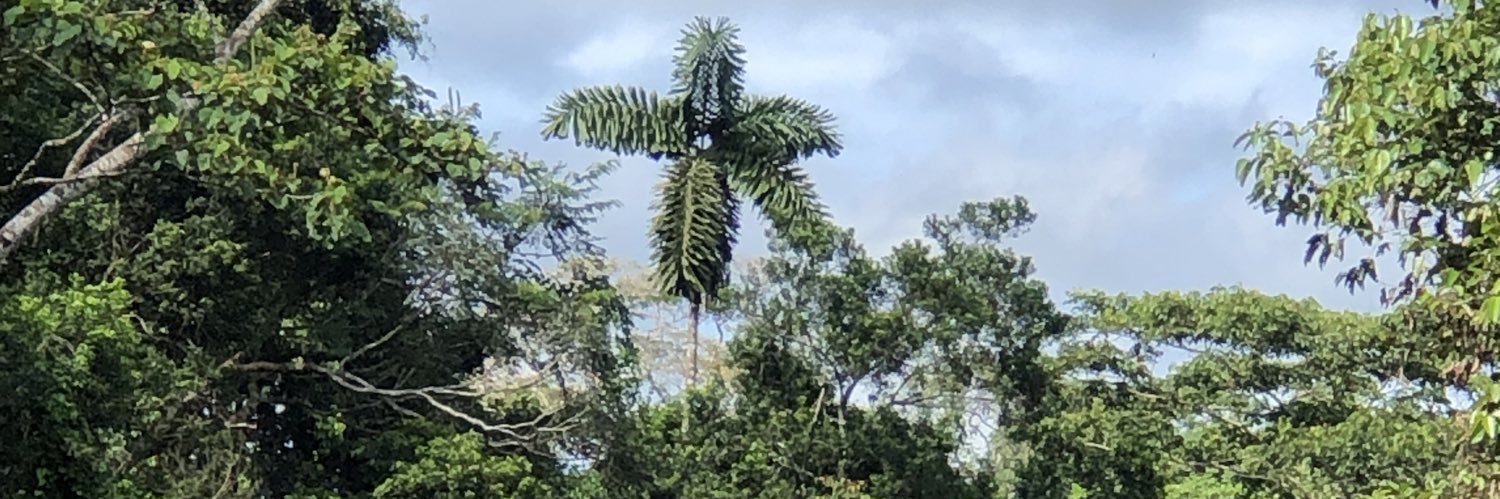 Carles Barriocanal banner