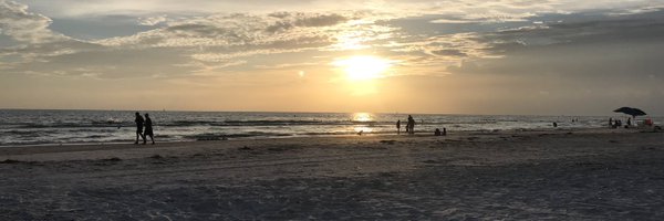 shellibarton Profile Banner