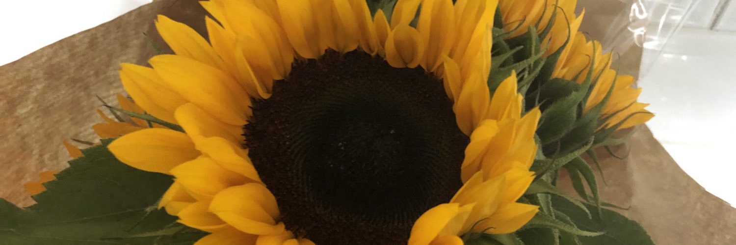 dom50450's profile banner image