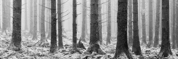 maxitup Profile Banner