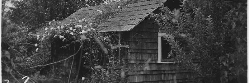 RudolphDesign's profile banner image