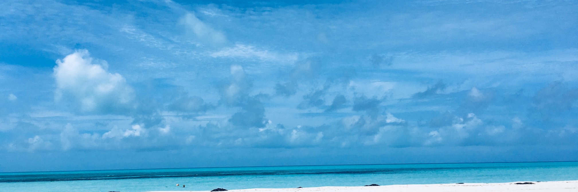 Bill Buckmaster banner