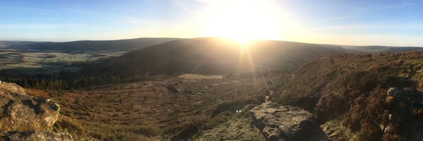 sheenae84 Profile Banner