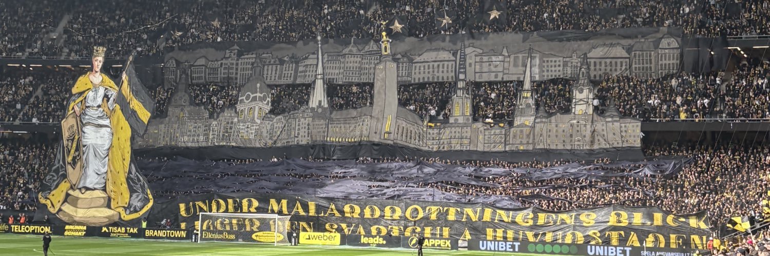 Borgan banner