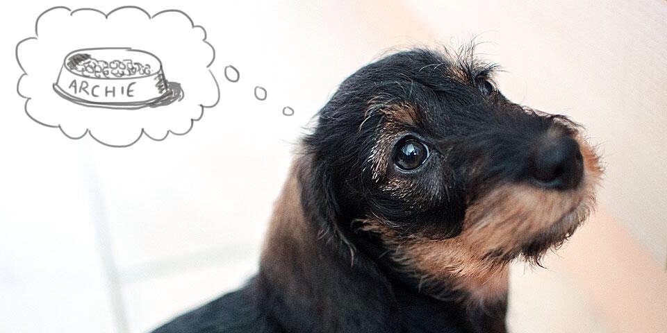 Heather Murdoch banner