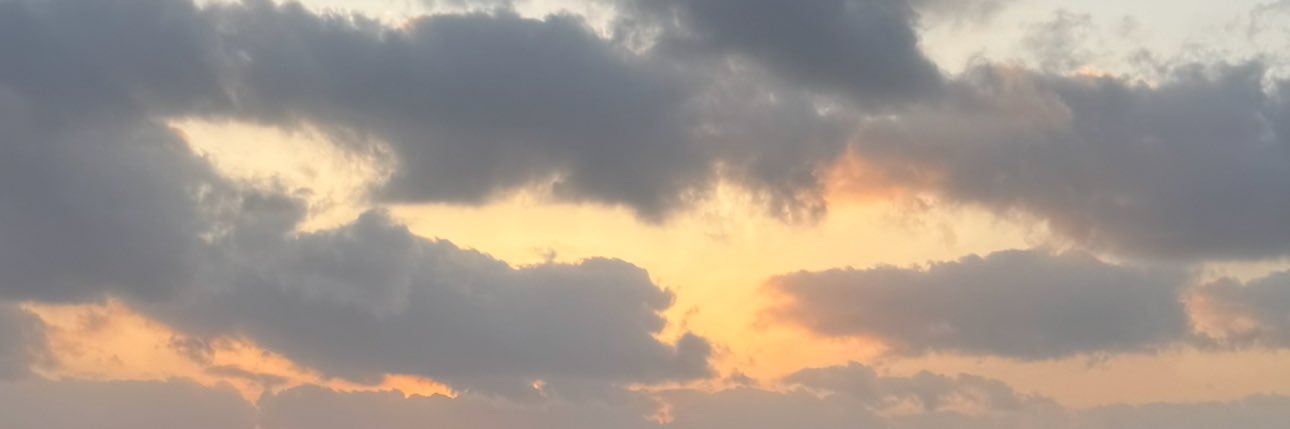 S banner