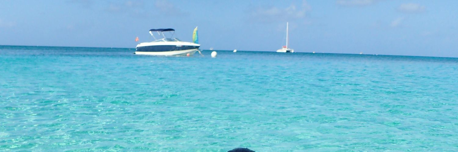 micaflorentin's profile banner image