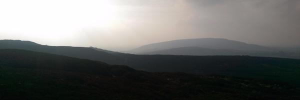 TobyMole Profile Banner